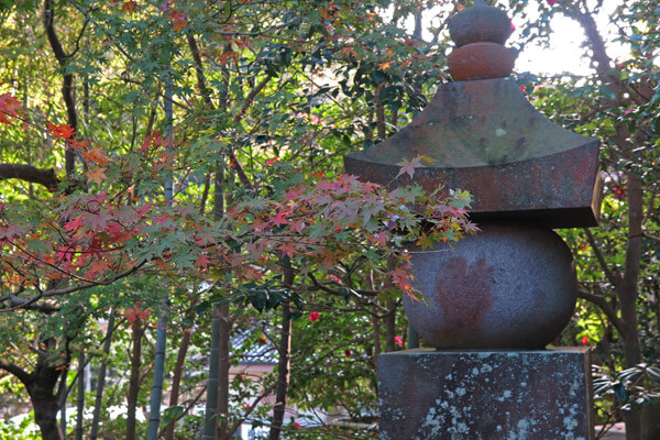 平成28年(2016年)11月25日、報国寺の紅葉。