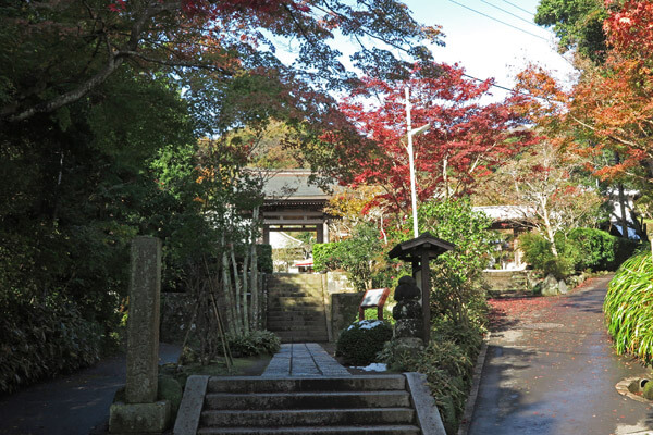 平成28年(2016年)11月25日、海蔵寺の紅葉。