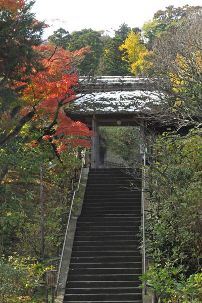 平成28年(2016年)11月25日、東慶寺の紅葉。