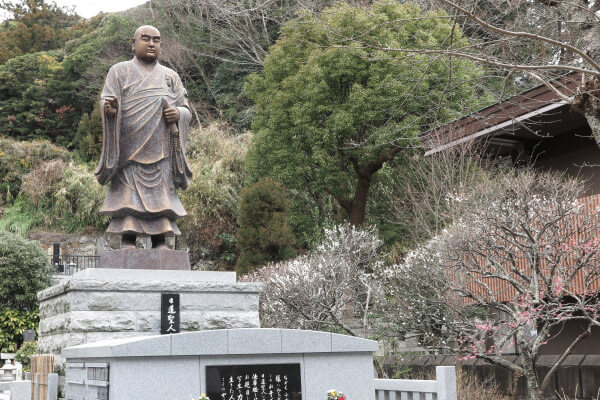 平成29年(2017年)2月24日、妙本寺の梅。