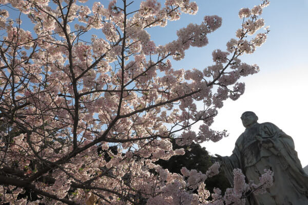 平成29年(2017年)4月13日、午後4時頃の長勝寺。