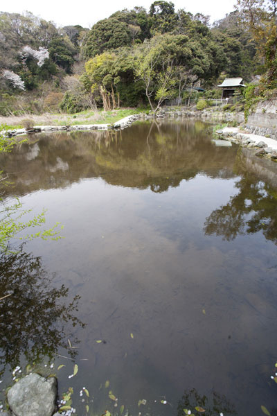 日蓮聖人雨乞霊跡、田辺ヶ池。