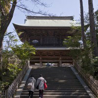 円覚寺三門も春らしい感じになってきました。