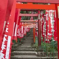 お稲荷様らしい風景。