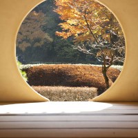 明月院本堂から後庭園を望む明月院の象徴的な景色。