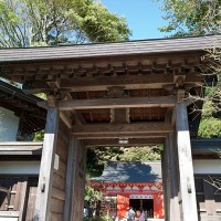 入口の門、奥に本殿が見えます。
