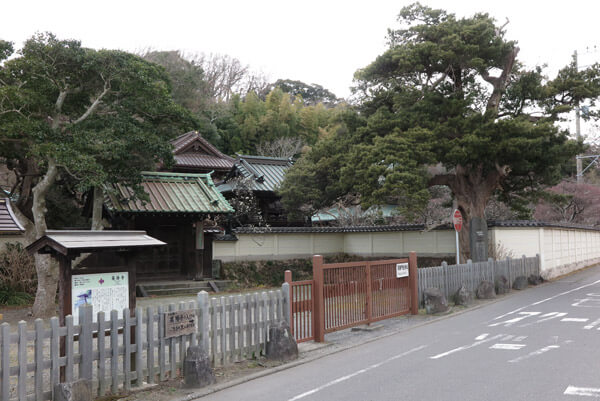 鎌倉の裏駅を出て今小路をまっすぐ進み、寿福寺を越えると左手に英勝寺が見えてきます。