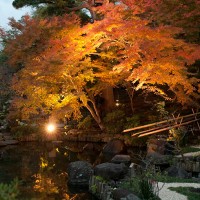 池の回りもよく整えられているので、より紅葉がきれいに見えます。