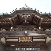 境内左手にあるフヨウの花がキレイに咲いていました。