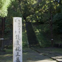 敷地には護良親王墓と書かれた碑と墓、階段しかありません。後は自然がそのまま残されています。