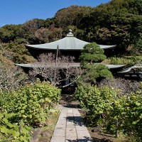 瑞泉寺本堂。紅葉ヶや谷と瑞泉寺の絶妙な風情がたまりません。