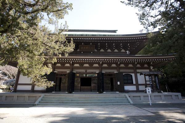 仏殿。御本尊の宝冠釈迦如来の他、梵天、帝釈天などを安置しています。天井には前田青邨監修によって守屋多々志が描いた白龍図が描かれ、圧巻の迫力です。震災で倒壊したものの昭和39年に再建されました。
