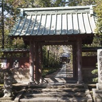 寿福寺総門。何度訪れても寺の関係者を見かけたことがありません。本堂も公開されていません。かつて源義朝の屋敷があり、北条政子が源頼朝のために臨済宗の開祖・栄西に開山させたという鎌倉純度の高いお寺。ミステリアスな雰囲気です。