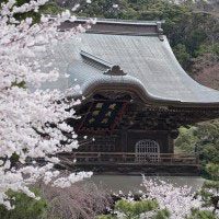 勇壮な建長寺の風情。