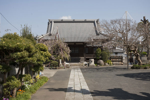 本堂。日蓮宗辻説法由緒の地です。