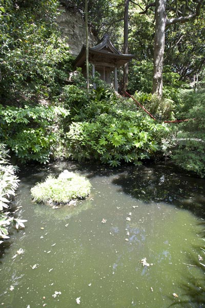 熊野権現の脇には泉鏡花の寄進による池があります。
