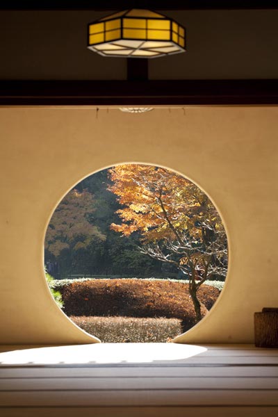 明月院の紅葉。