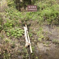 歴史をたたえながらいまも滾々と湧き出る鎌倉五名水のひとつ、太刀洗水。