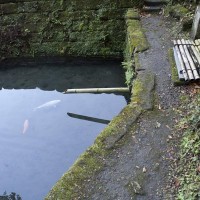 いわれはあまりないようですが、風情はとてもよいです。鯉もキレイな水でさぞ気持ちよいことでしょう。