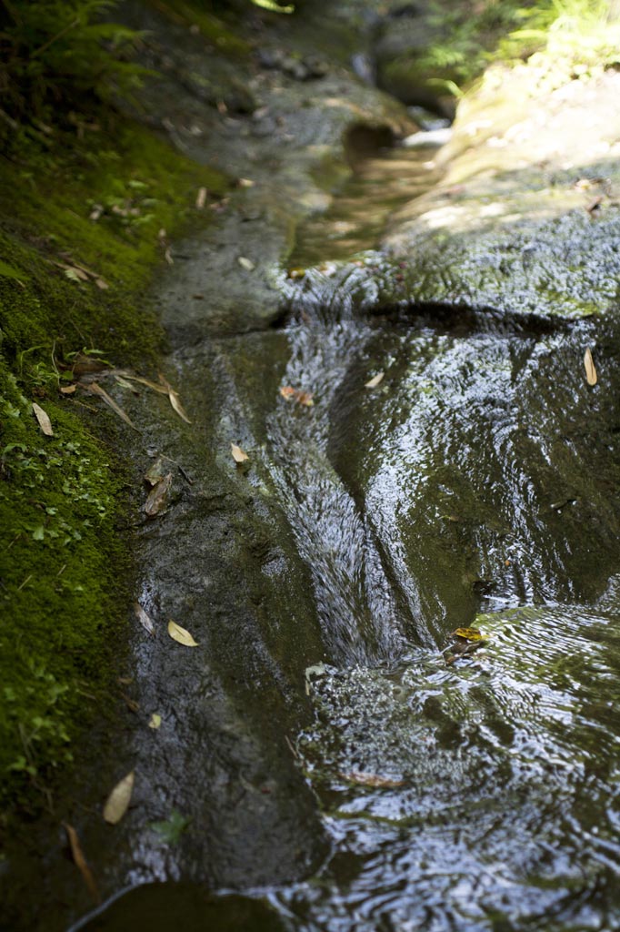 朝比奈切通しの水