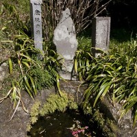 風情抜群の井戸です。