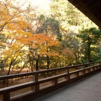祖師堂の廊下から紅葉をのぞみと、また違った紅葉が味わえます。