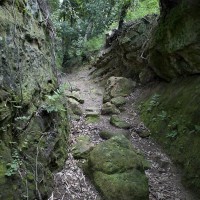 媒体などで大仏切通しとして写真が掲載されるのはほとんどここです。
