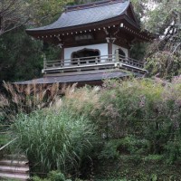 北鎌倉、浄智寺の萩とススキ。