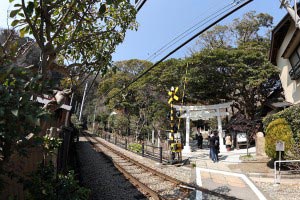 御霊神社(鎌倉権五郎神社)