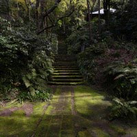 妙法寺、苔の石段。ここに立つことは、歴史と自然の静寂を感じる至福の時です。