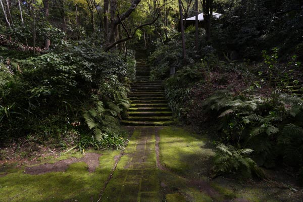 妙法寺、苔の石段。