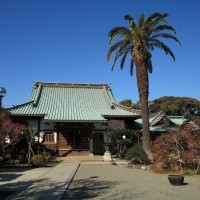 本瑞寺境内。小高い丘にあるため、背後は青い空。潮風香る穏やかな場所です。この地で催された源頼朝の観桜の宴はさぞ美しかったことでしょう。