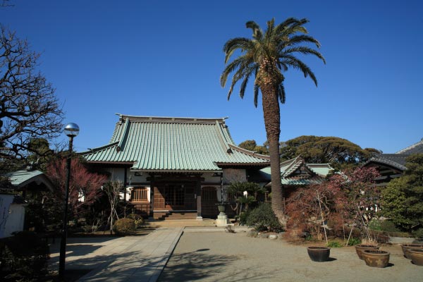 本瑞寺境内。小高い丘にあるため、背後は青い空。潮風香る穏やかな場所です。この地で催された源頼朝の観桜の宴はさぞ美しかったことでしょう。