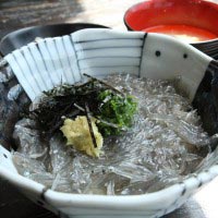 しらすや。生しらす丼(800円)。生しらす丼、味噌汁(この日はしらす)、新香、付け合わせ。