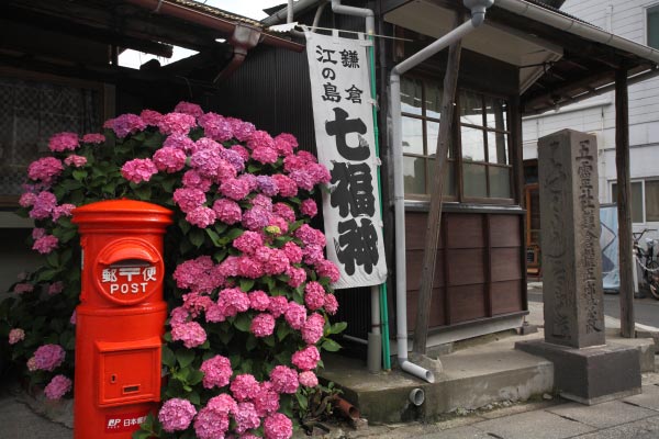 力餅家の前にあるポストは初夏、あじさいに飾られます。