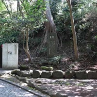 長楽寺跡。源頼朝の菩提を弔うために北条政子が建立しました。現在は鎌倉文学館となっています。