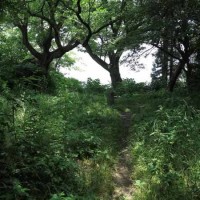 畠山城址。834年前、日本の歴史が大きく動いた治承4年、激動の舞台です。