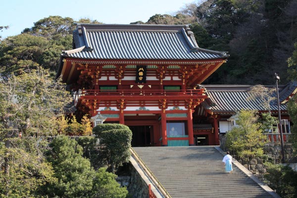 鶴岡八幡宮 上宮(本殿、幣殿及び拝殿)。