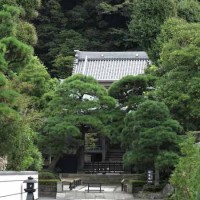 江ノ島詣の旧道から望む本蓮寺。緑がきれいです。背後の山の向かい側が龍口寺です。