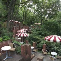 樹ガーデン。まさに森のなかの喫茶店。