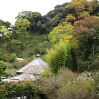 光則寺の紅葉。日朗土牢前からの光景。しみじみと秋を感じます。