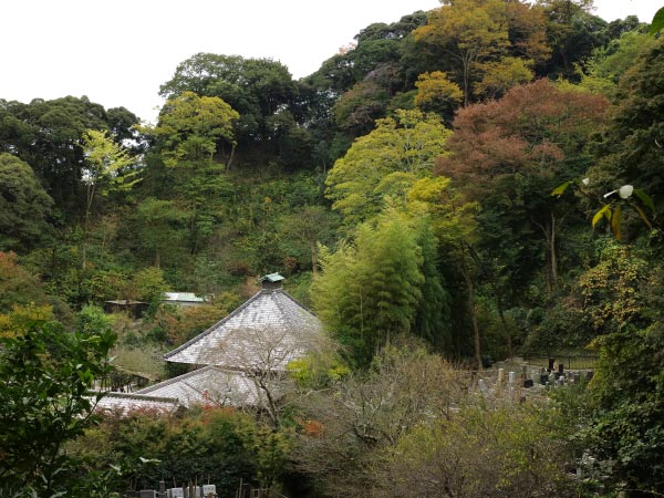 秋の光則寺