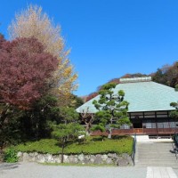浄妙寺の本堂と紅葉、銀杏。