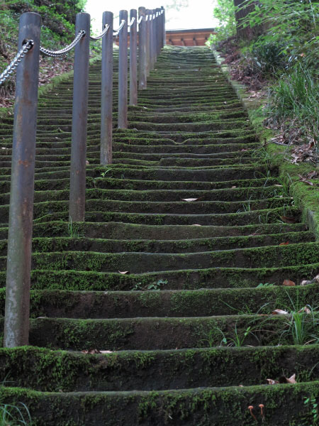 115_称名寺(今泉不動)-15