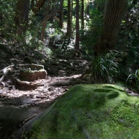 巡礼古道らしい景観。