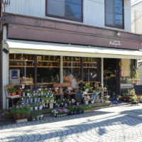 御成通りのFlower&Cafe、Rakaposhi(ラカポシ)。