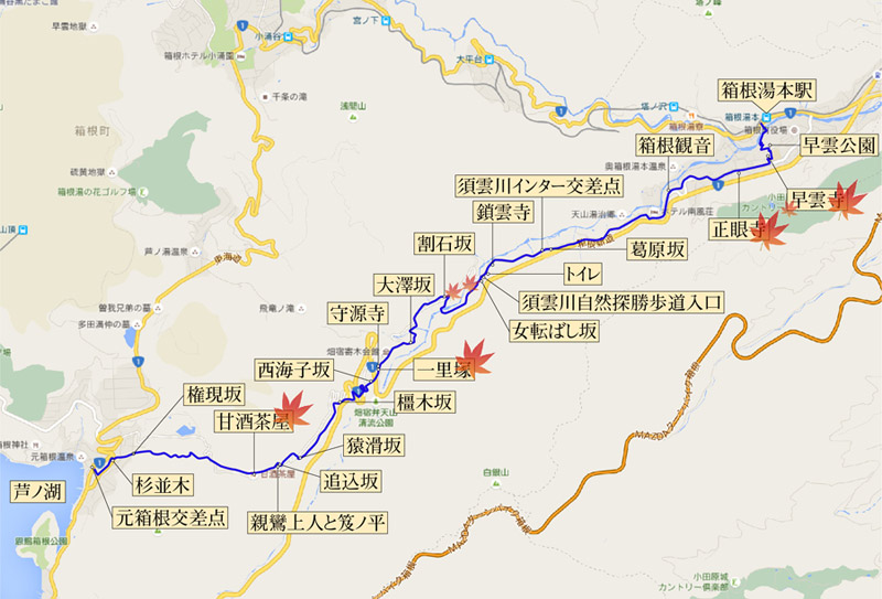 今回歩いた箱根旧街道。特に紅葉が目立ったところに紅葉の印をしましたが、その他にも秋らしい景色はたくさんあります。