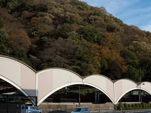 箱根湯本駅の背後の山も秋の色です。