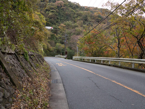 箱根観音の後、県道をしばらく歩きます。