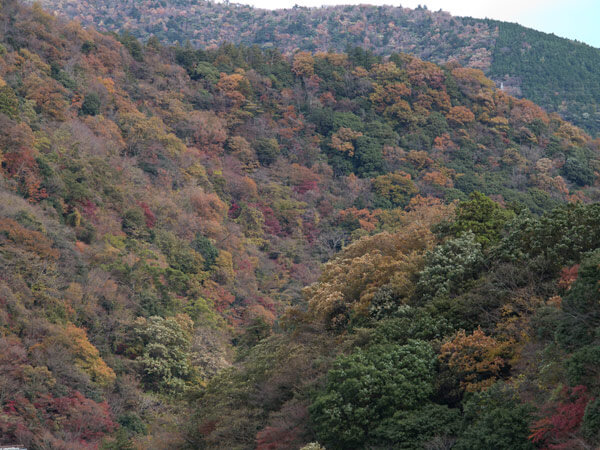 この辺りで視界が開けます。秋色の山々。